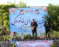 برگزاری همایش پیاده‌روی خانوادگی بمناسبت دهه كرامت و ولادت حضرت معصومه (س) با شعار دختر قوى، مادر قوى، ايران قوى در فامنين
