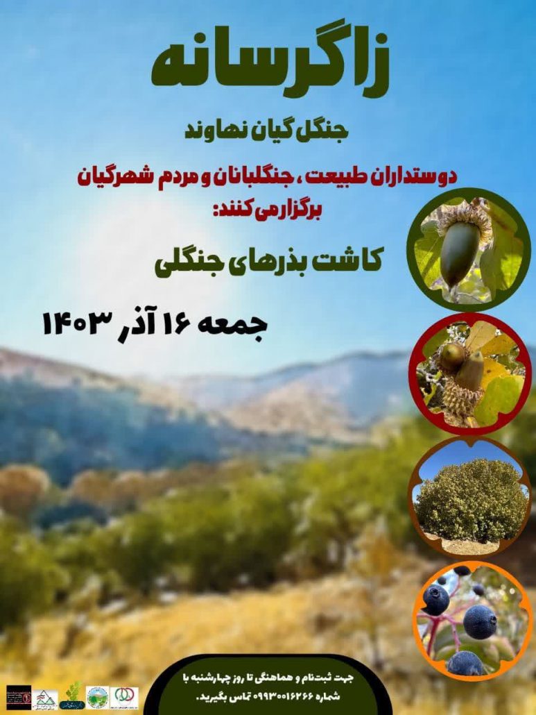 اجرای پویش بذرکاری زاگرسانه در سراب گیان شهرستان نهاوند