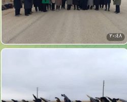 برگزاری ورزش در طبیعت گروه ورزش همگانی شهرستان درگزین