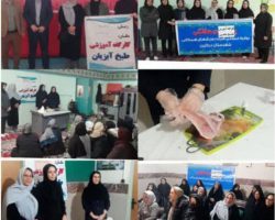 برگزاری کارگاه آموزشی طبخ آبزیان به همت هیئت ورزش‌های همگانی درگزین