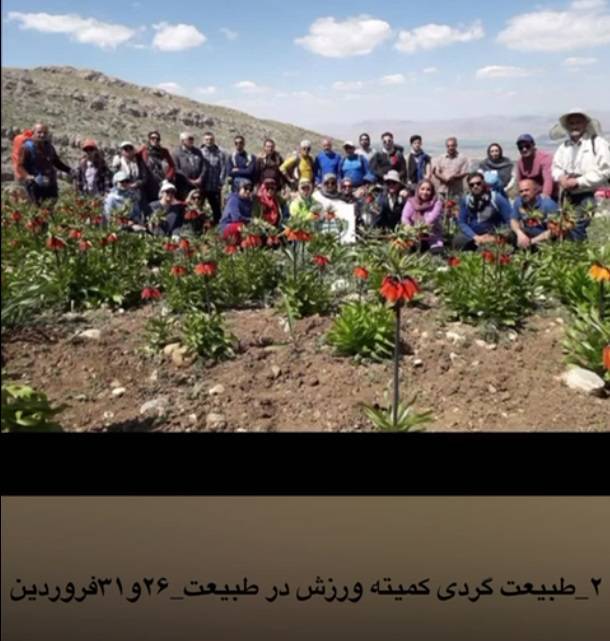 عملکرد هیئت ورزش‌های همگانی شهرستان تویسرکان در سال 1403